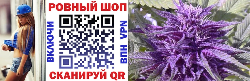 Купить закладку Каннабис COCAIN Меф мяу мяу Дигора